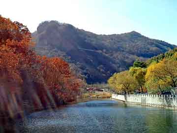 管家婆黑白马报图库，发现4论坛